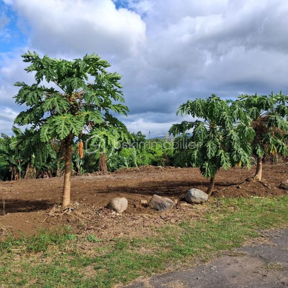 Vente Terrain Rare opportunité : Terrain à valoriser avec potentiel exceptionnel ! Saint andre