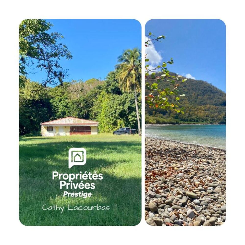Vente Terrain Terrain viabilisé 10000 m2 constructible accès littoral- Pointe Noire -Guadeloupe Pointe noire