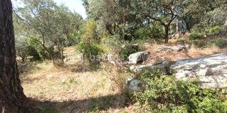  Terrain � vendre 1001 m�