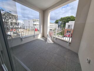  Appartement � louer 2 pi�ces 46 m�