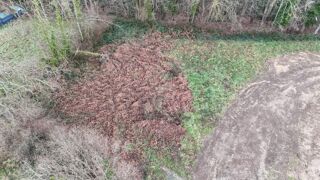  Terrain  vendre 1488 m