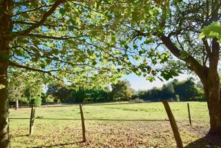  Proprit/chteau  vendre 15 + pices 510 m