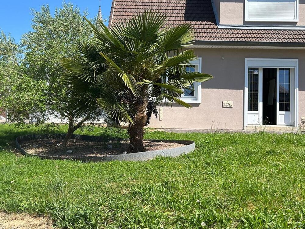 Maison Chauny 7 pièce(s) 262 m2