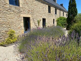  Immeuble � vendre 15 + pi�ces 600 m�