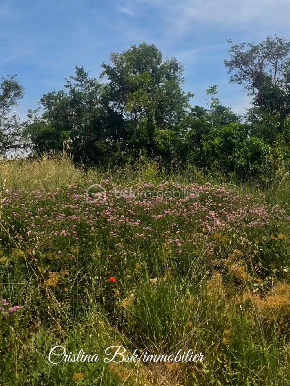Vente Terrain Terrain constructible 490 m² - Proche Manosque Manosque