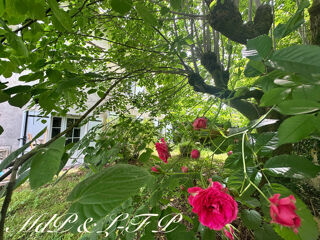  Maison � vendre 6 pi�ces 294 m�