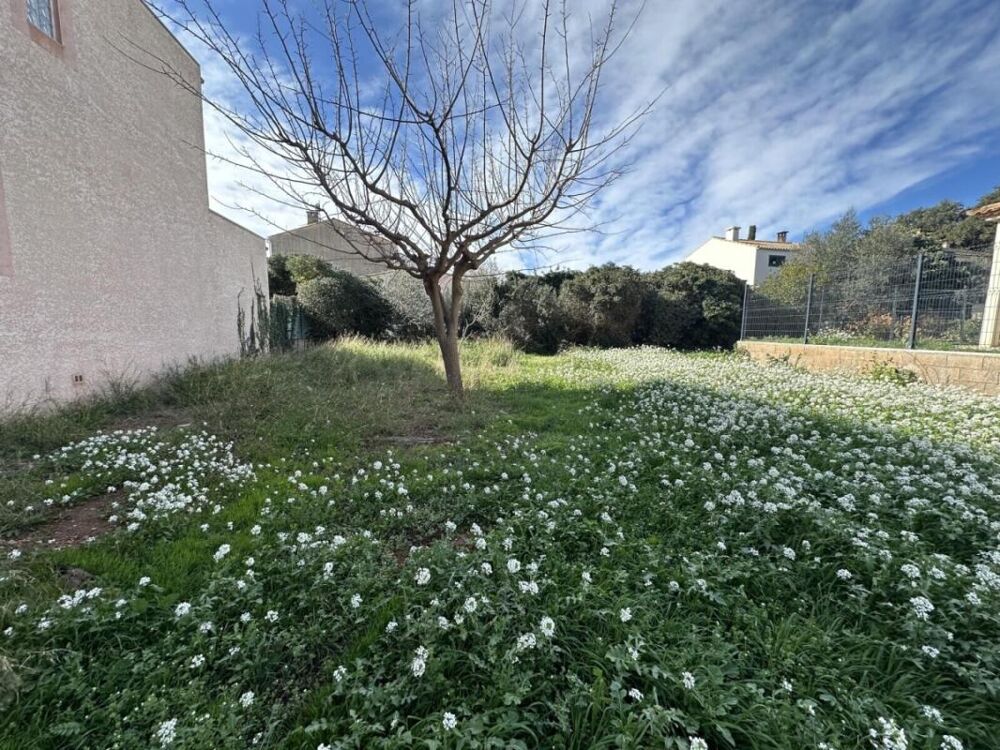 Vente Terrain Terrain - Frontignan - 363m² Frontignan