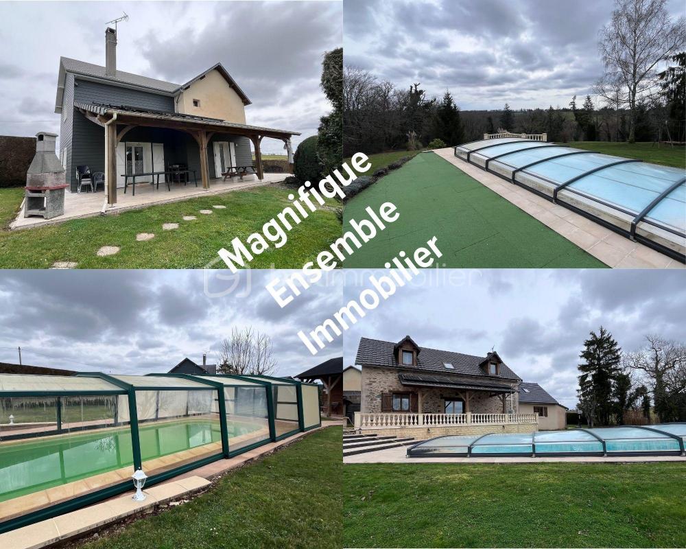 Vente Immeuble Ensemble de deux maisons avec piscines Saint mesmin