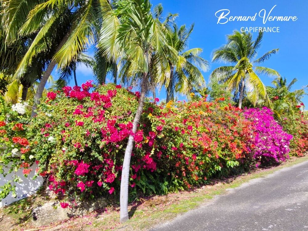 � vendre  Maison Saint-Fran�ois (97118)