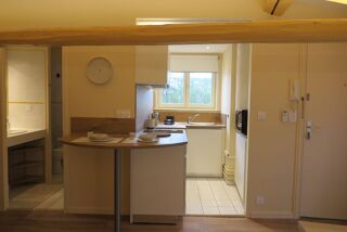  Appartement à louer 1 pièce 30 m²