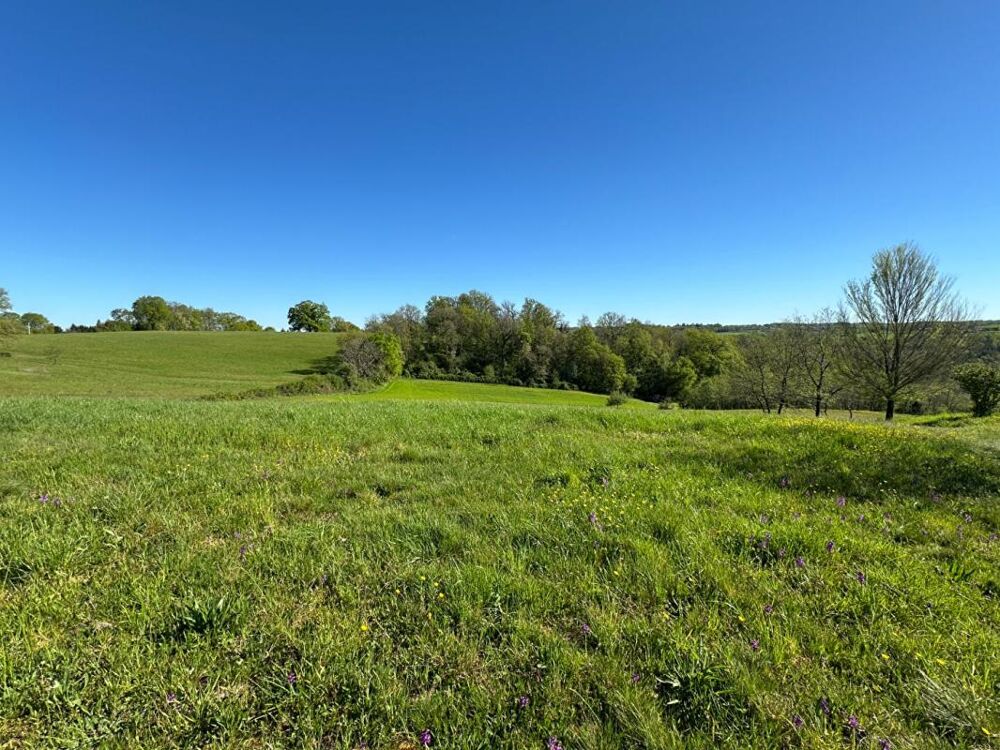 Vente Terrain TERRAIN A BATIR Corgnac sur l isle