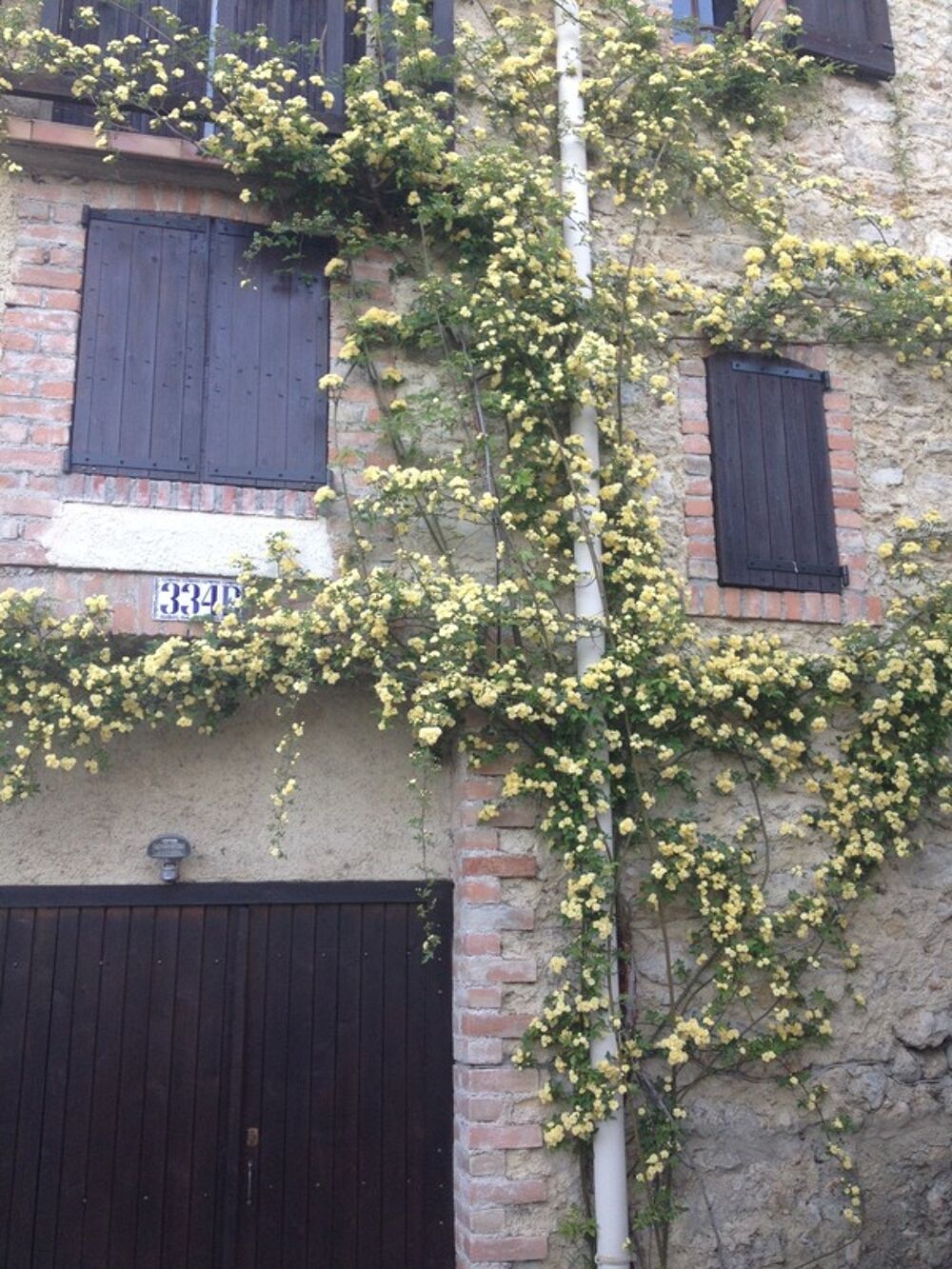 Maison avec piscine intérieur ALES (30)