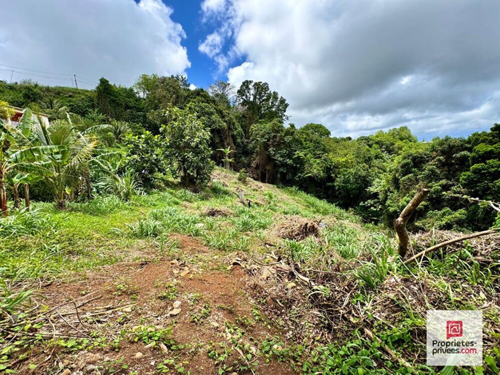Vente Terrain NOUVEAUTE- TERRAIN CONSTRUCTIBLE 2 480 M² - VUE MER -SAINTE-LUCE Sainte luce