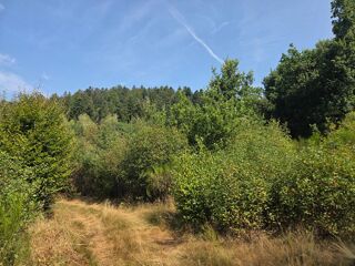  Terrain à vendre 16790 m²