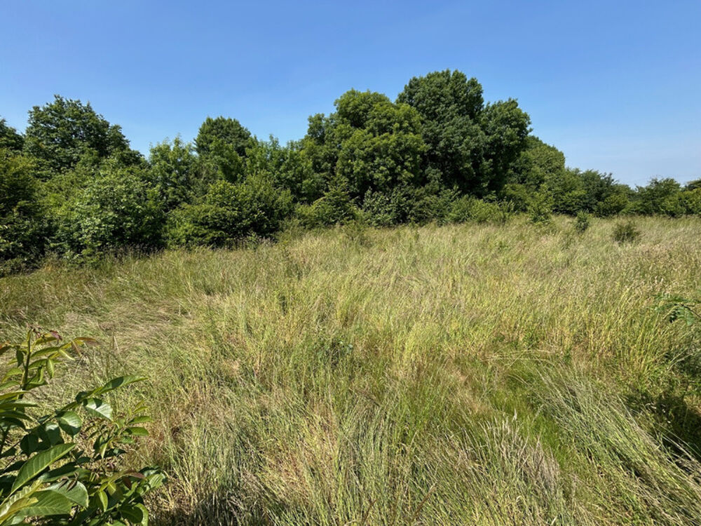 Vente Terrain TERRAIN A VENDRE 909 M² EN ÉCO-LOTISSEMENT !! Coutieres