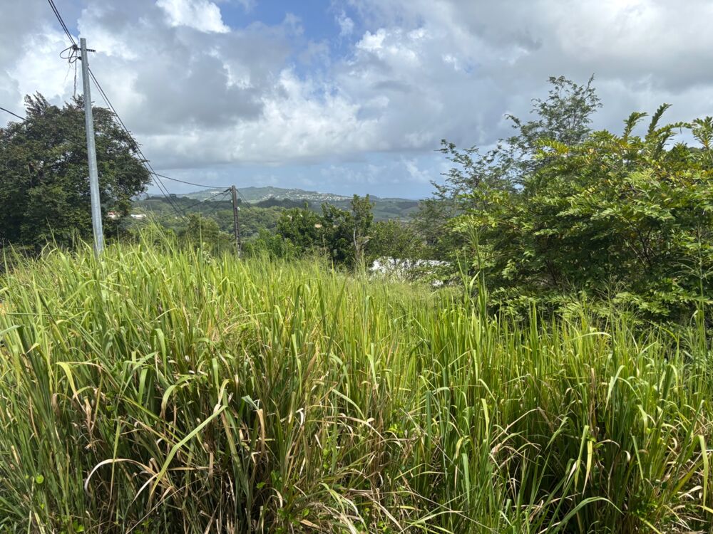 Vente Terrain Terrain à vendre  LE ROBERT (972) de 593 m2 Le robert