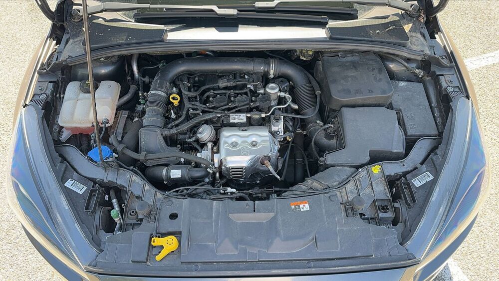 Focus 1.0 EcoBoost 125 ST Line 2018 occasion 38230 Pont De Cheruy