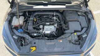 Focus 1.0 EcoBoost 125 ST Line 2018 occasion 38230 Pont De Cheruy