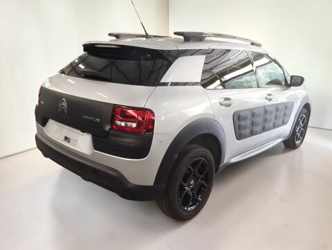 C4 cactus THP 110 2015 occasion 06640 Saint-Jeannet
