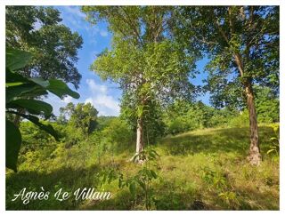  Terrain � vendre 2983 m�