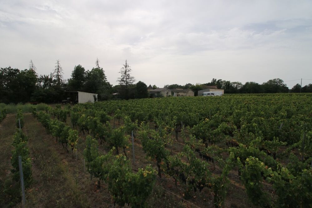 Vente Propriété/Château Propriete à vendre 2 habitations 800 m2 de bâtis PUISSEGUIN (33) Puisseguin