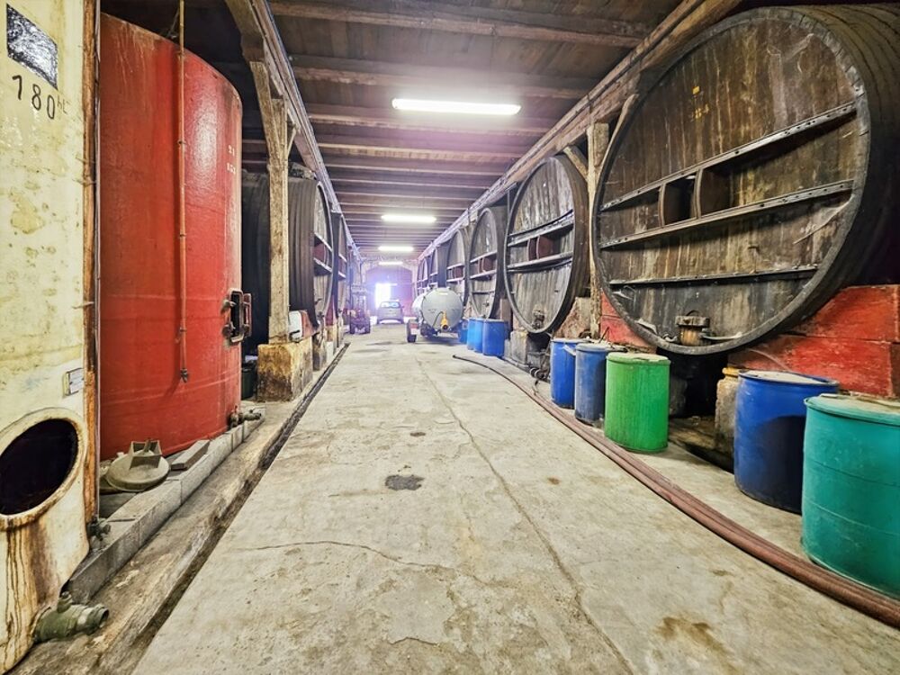 � vendre  Propri�t�/ch�teau Cesseras (34210)