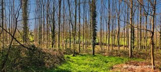  Terrain  vendre 18756 m