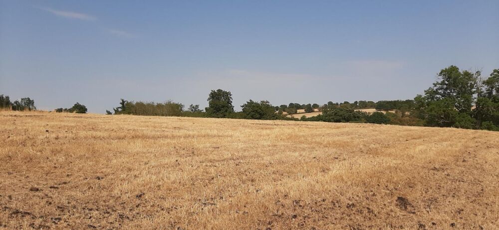 FERMETTE A RÉNOVER AVEC SES DÉPENDANCES, SUR 2,7 HA DE TERRAIN DANS CADRE BUCOLIQUE