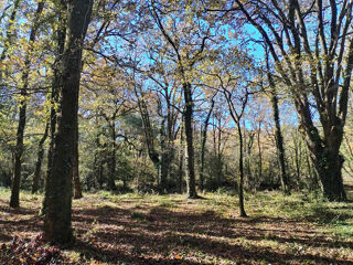  Terrain à vendre 6660 m²