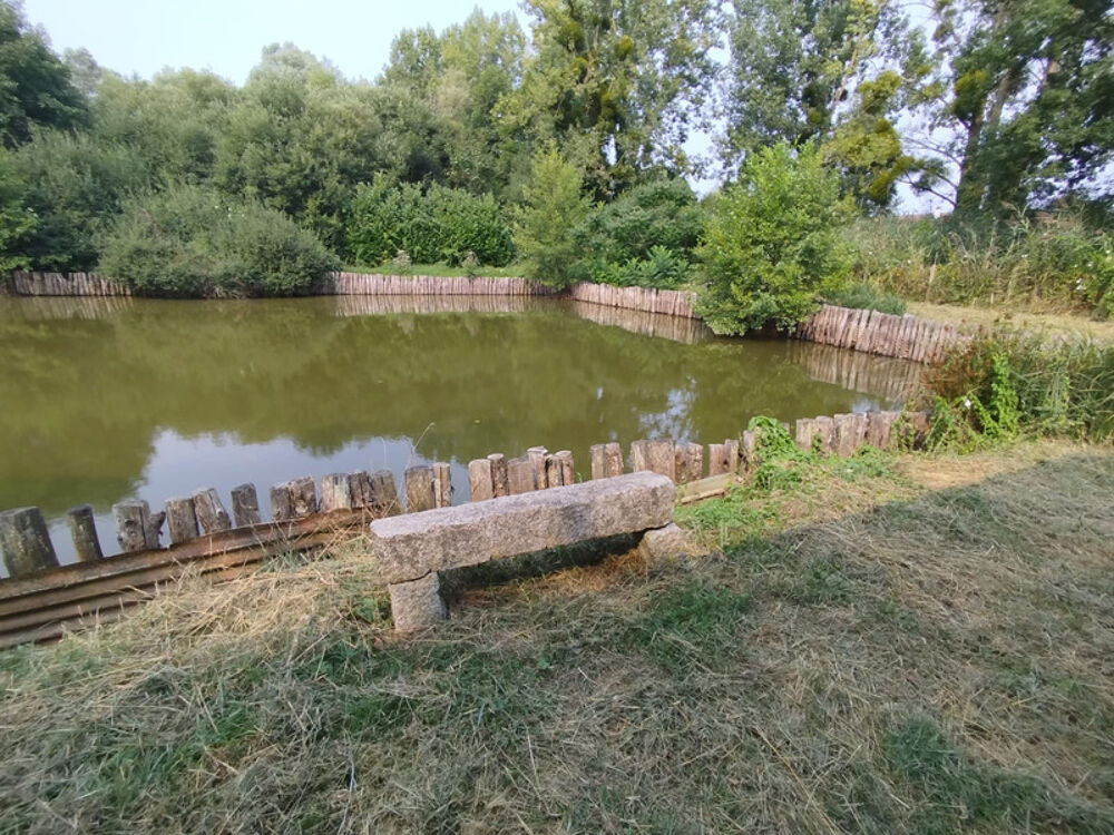 Vente Terrain  vendre  Terrain de loisir avec tang et cabanon  Montfort-le-Gesnois Montfort le gesnois