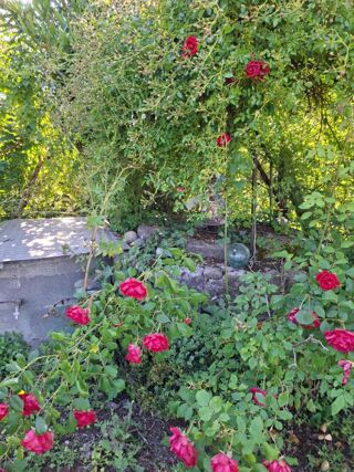  Maison � vendre 5 pi�ces 90 m�