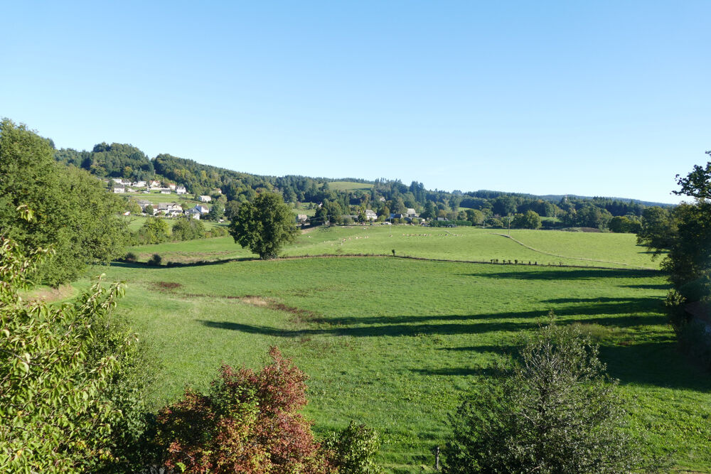 Vente Maison Maison 6 chambres avec 4600m2 de jardin, grand sous-sol, possibilité de vie en plain-pied (Calvinet-Puycapel, 15) Puycapel