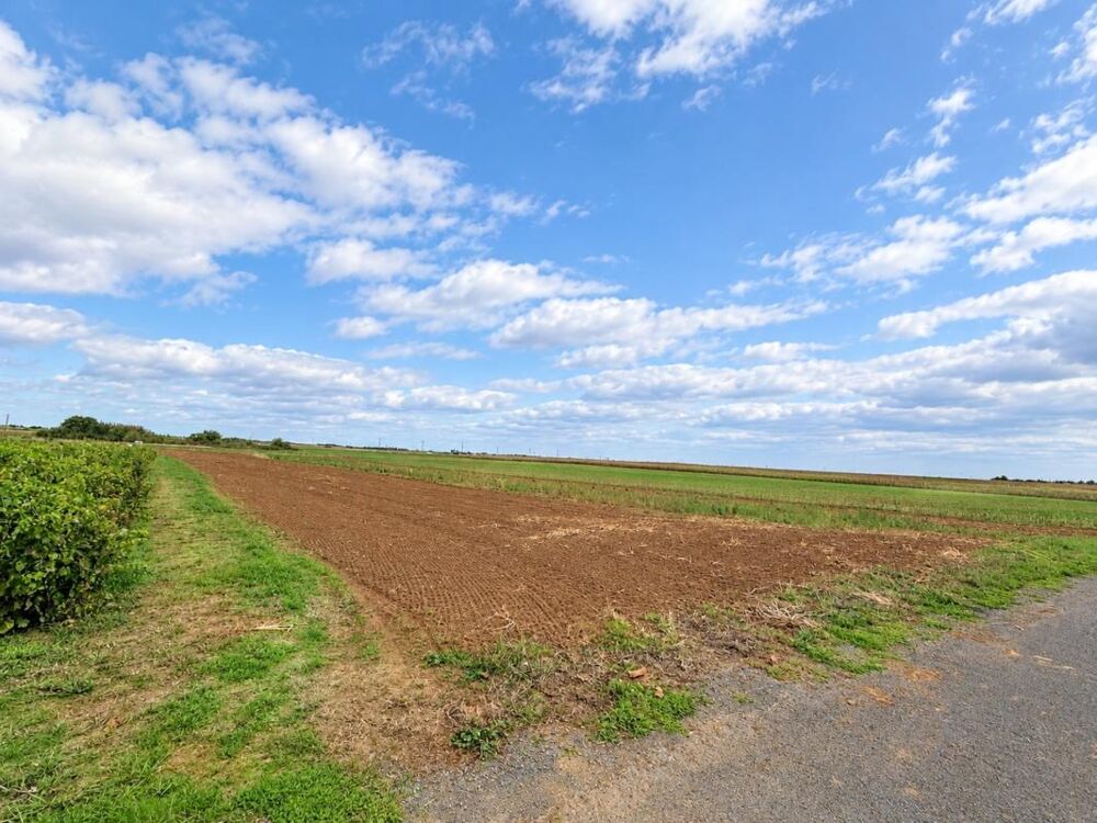 Vente Terrain Terrain à vendre de 2 241,00 m² NALLIERS (secteur Chevrette) (85) Nalliers