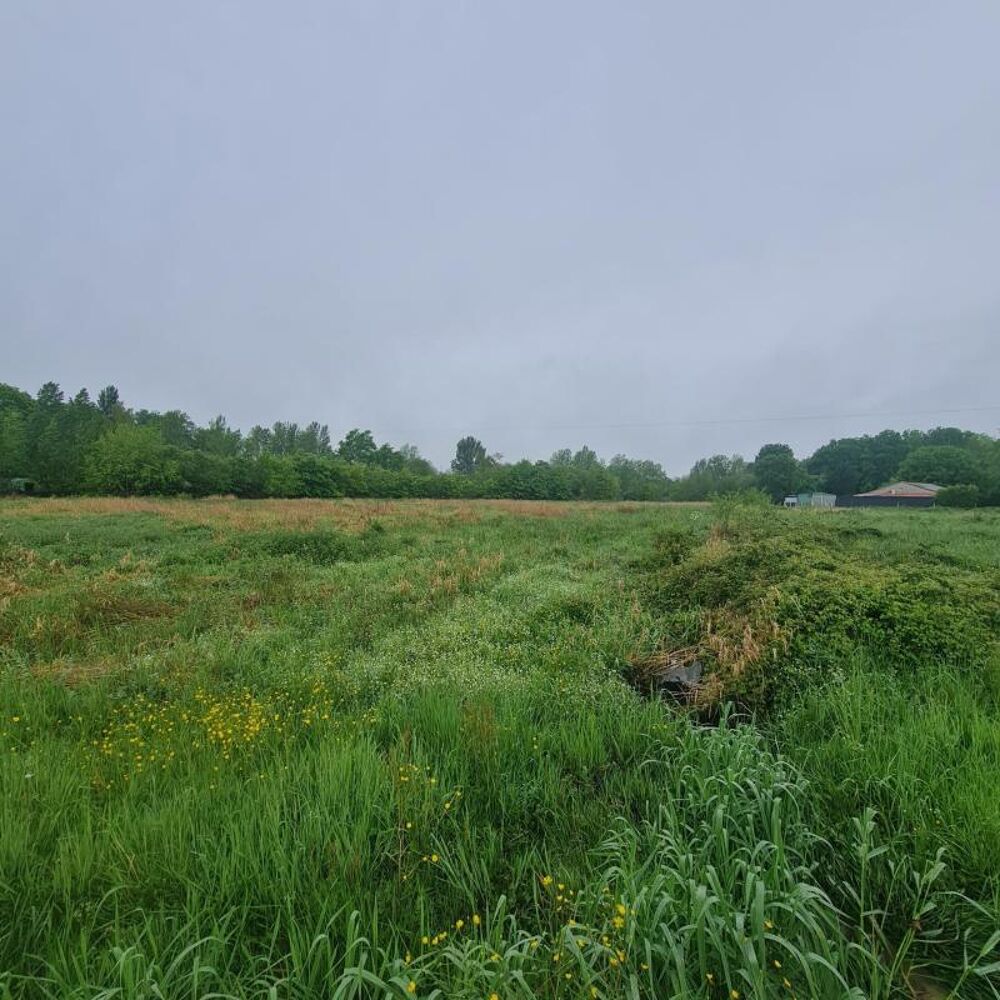 Vente Terrain 1636 m²- Terrain à bâtir à Ménesplet Menesplet