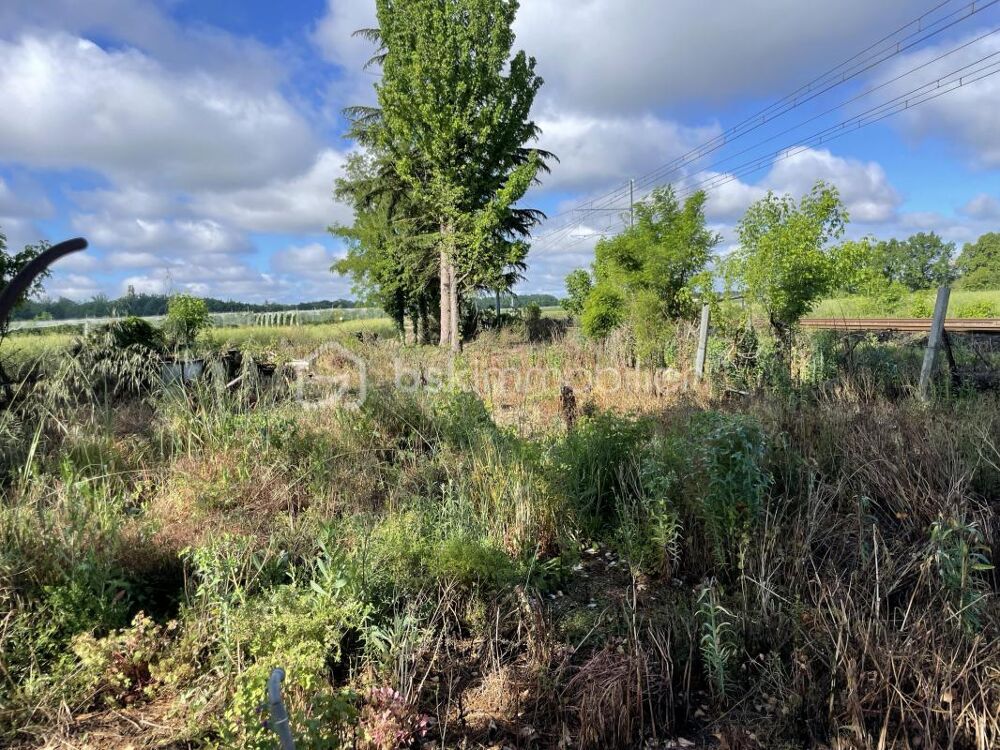 Vente Maison Bien rare, petit prix, maison de passage à niveaux à rénover entièrement Montauban
