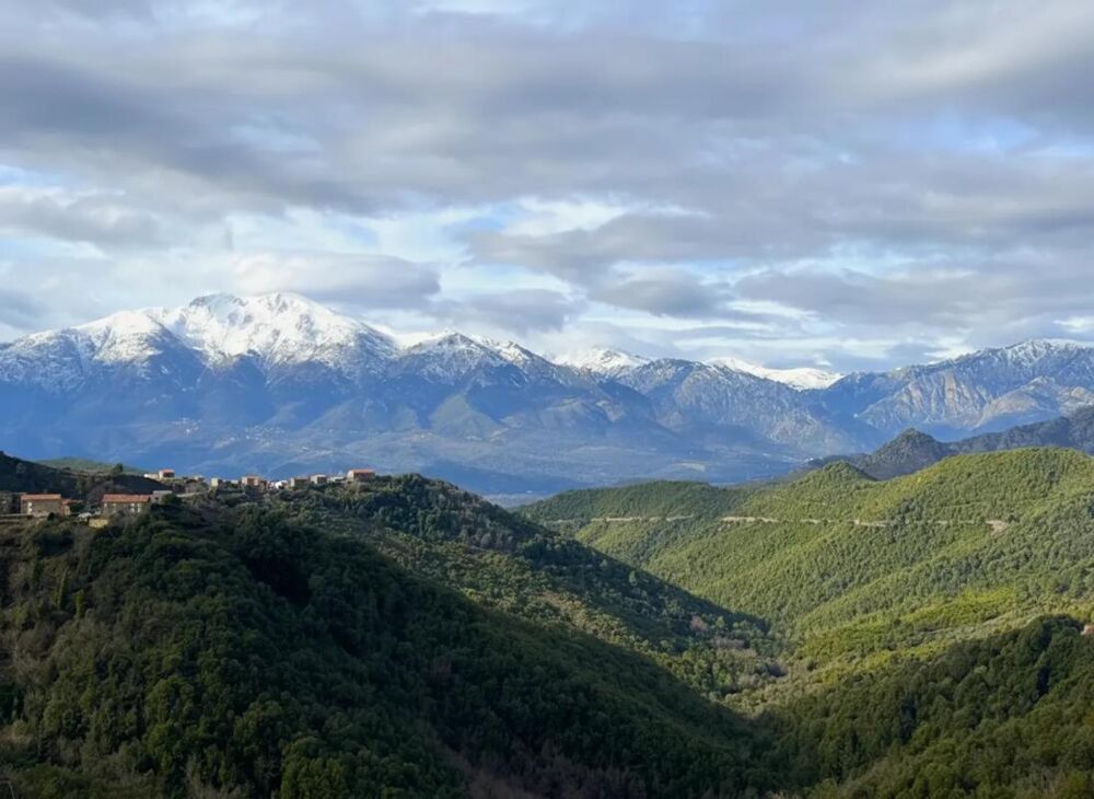 � vendre  Appartement Mazzola (20212)