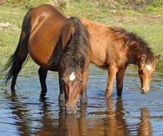  Propri�t�/ch�teau � vendre 6 pi�ces 150 m�