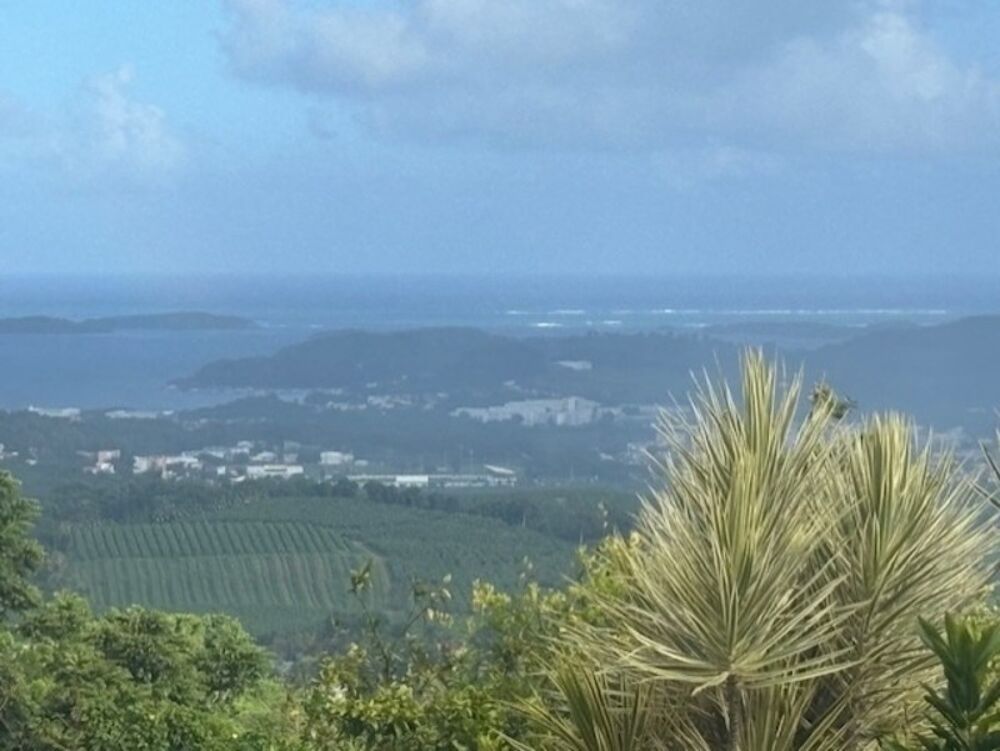 Vente Villa Grande villa à vendre composée de 3 appartements avec une magnifique vue mer LE FRANCOIS (972) Le francois