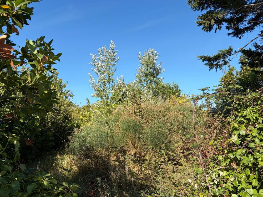 Vente Terrain BARBATRE (85) - ILE DE NOIRMOUTIER - RARISSIME TERRAIN A BATIR 637 M² AVEC PERMIS DE CONSTRUIRE ACCORDE Barbatre