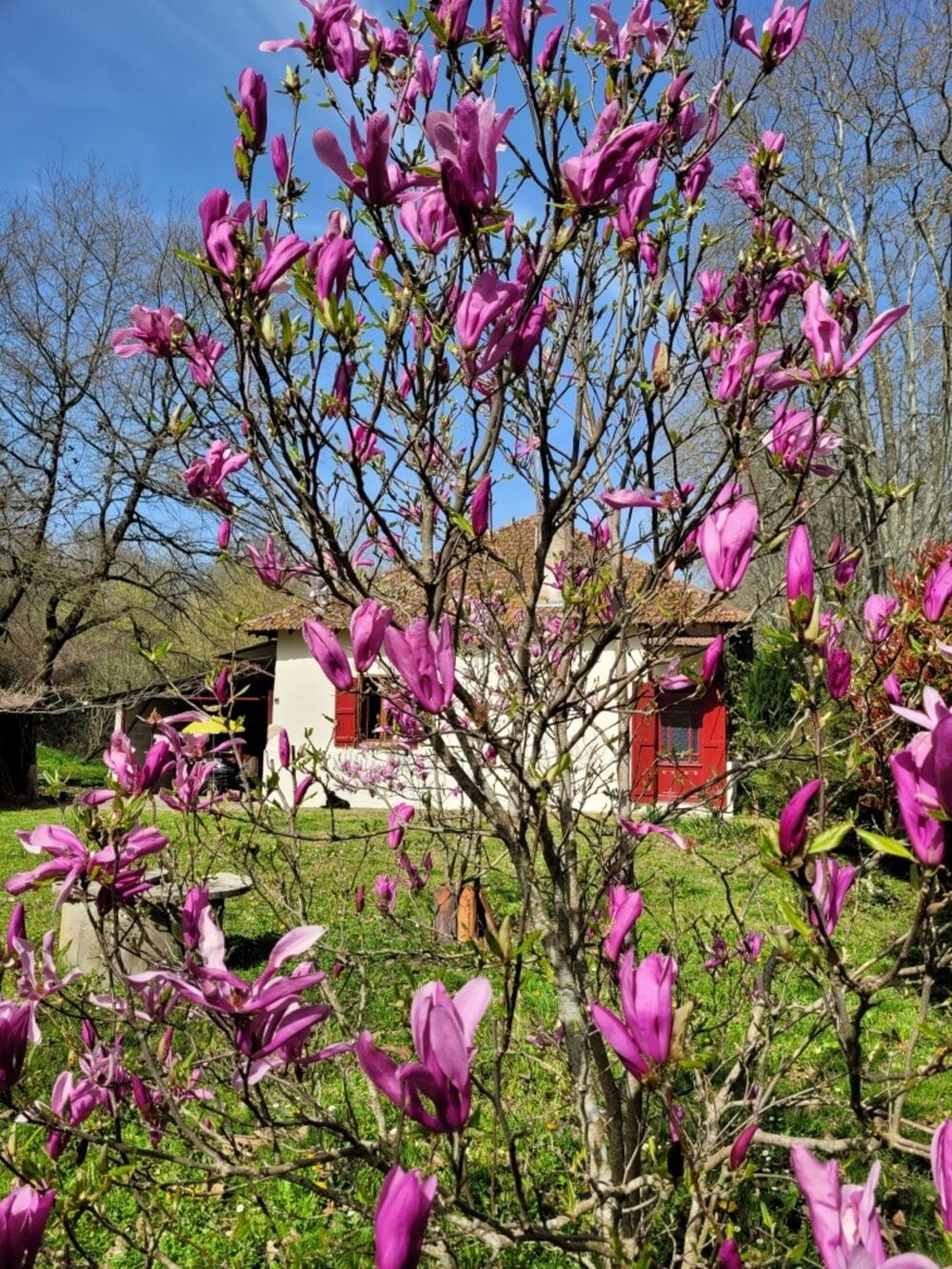 Maison à vendre 3 pièces LABASTIDE D'ARMAGNAC (40)