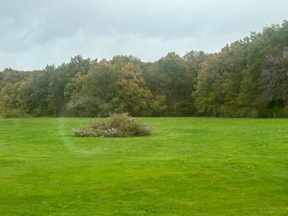 Propriété de charme à vendre proche de CHEVERNY (41)