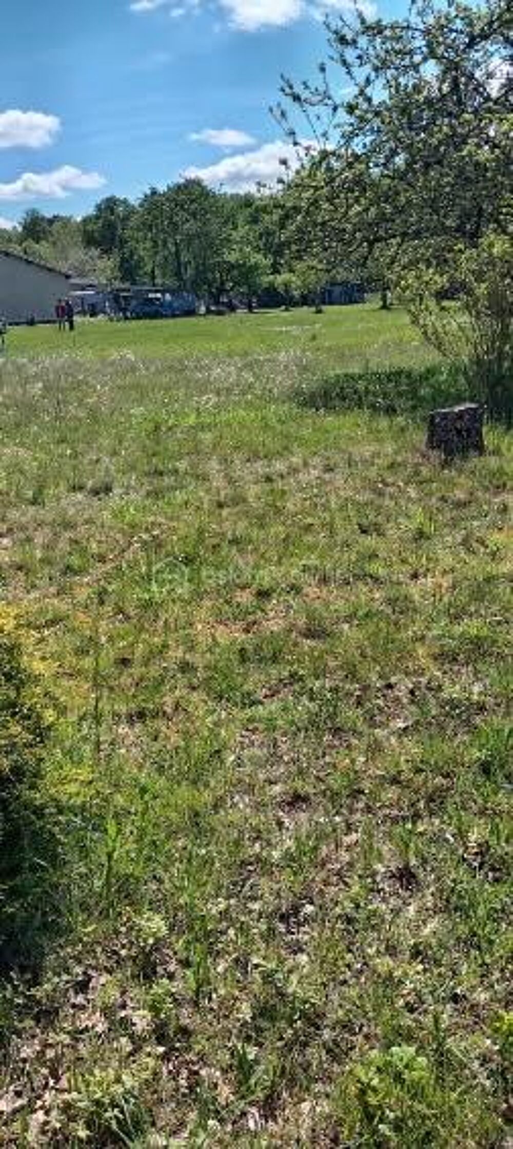 Vente Terrain TERRAIN CONSTRUCTIBLE Gours