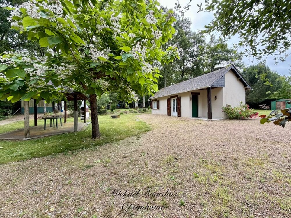 Vente Maison Terrain de loisirs de 4 900 m² avec hangar et espace habitable Savigne sous le lude