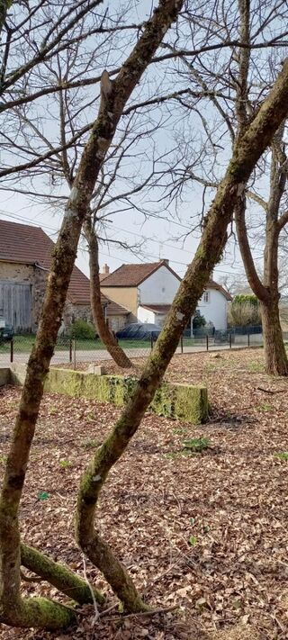  Maison à vendre 2 pièces 32 m²