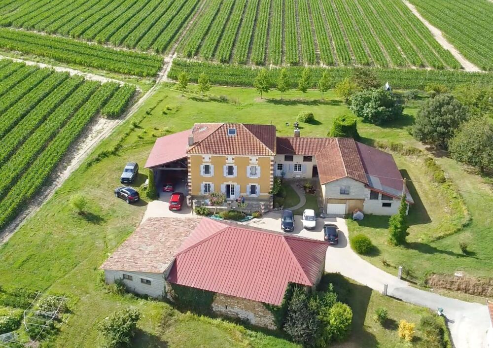 Vente Maison Maison 6 pièces 253m² - 5 chambres - Ancien chai - Bodega - Terrain 20 000m² - SAINT SEVER (40) Saint sever