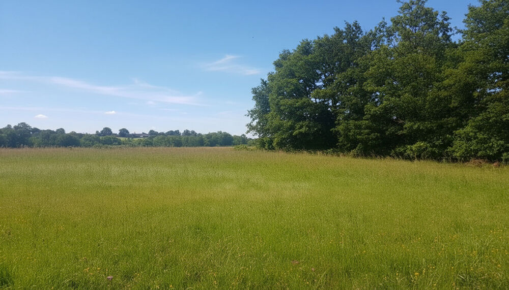 Vente Terrain Terrain de loisirs ( PRL) BOURG d' Eguzon - Chantome 36270 Eguzon chantome