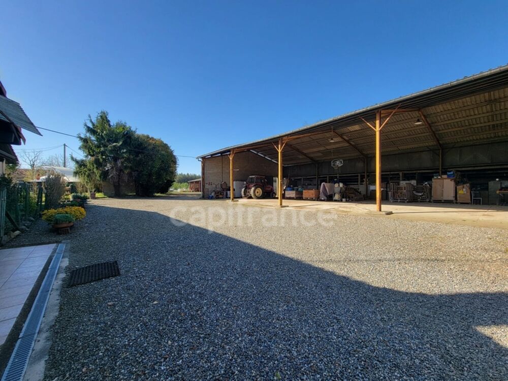 Vente Maison Corps de ferme – 1 280 m² de hangars + maison DPE B – Saint-Sever (40) Saint sever