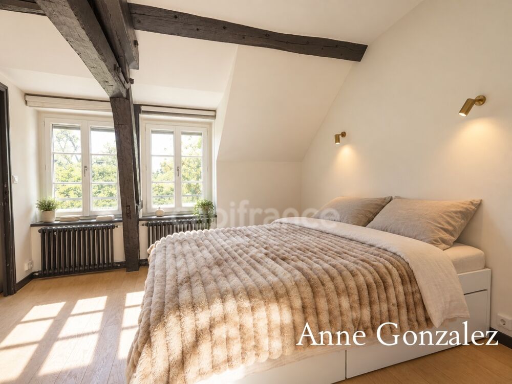 à vendre  Propriété/château Orléans (45000)