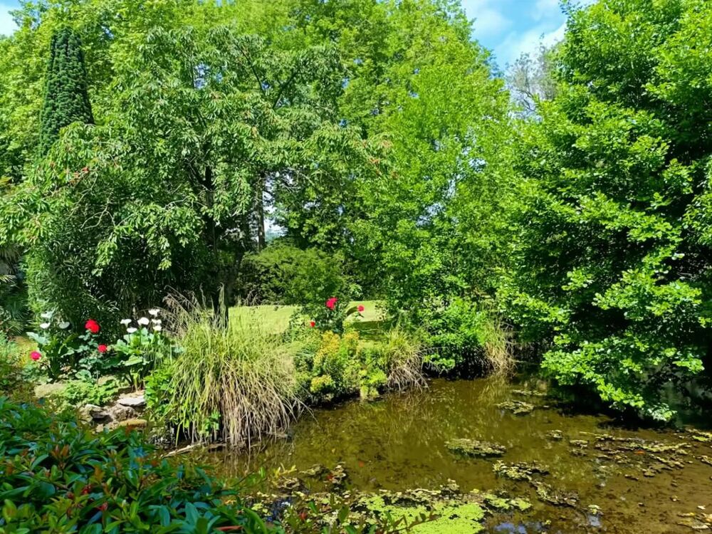 � vendre  Maison Conques-sur-Orbiel (11600)