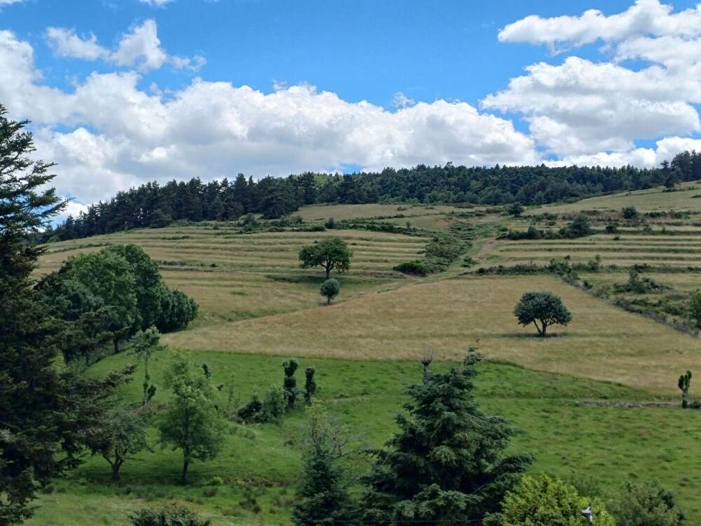 Vente Maison Maison de 100m² en pierres avec dépendances Gluiras